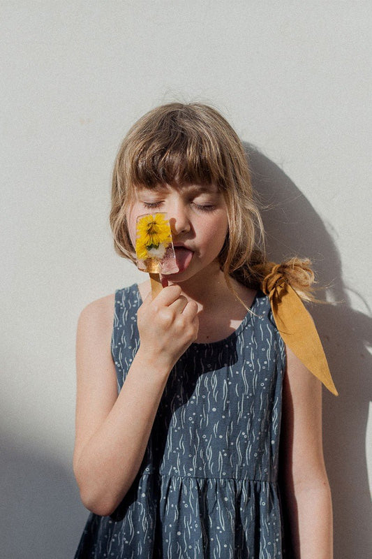 Edlin Dress Mist - TIRALAHILACHA