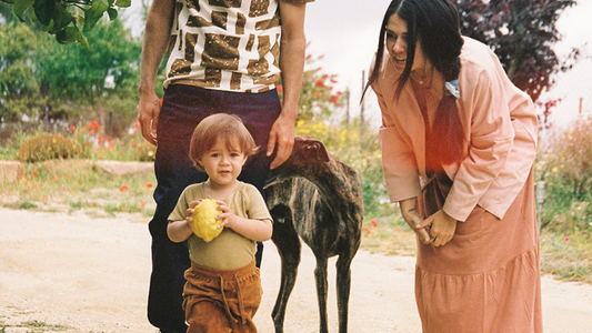 Conscious paths: back to the roots