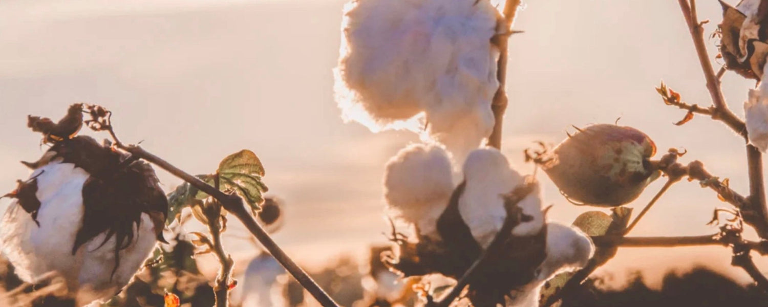 Organic Cotton Items - Tiralahilacha