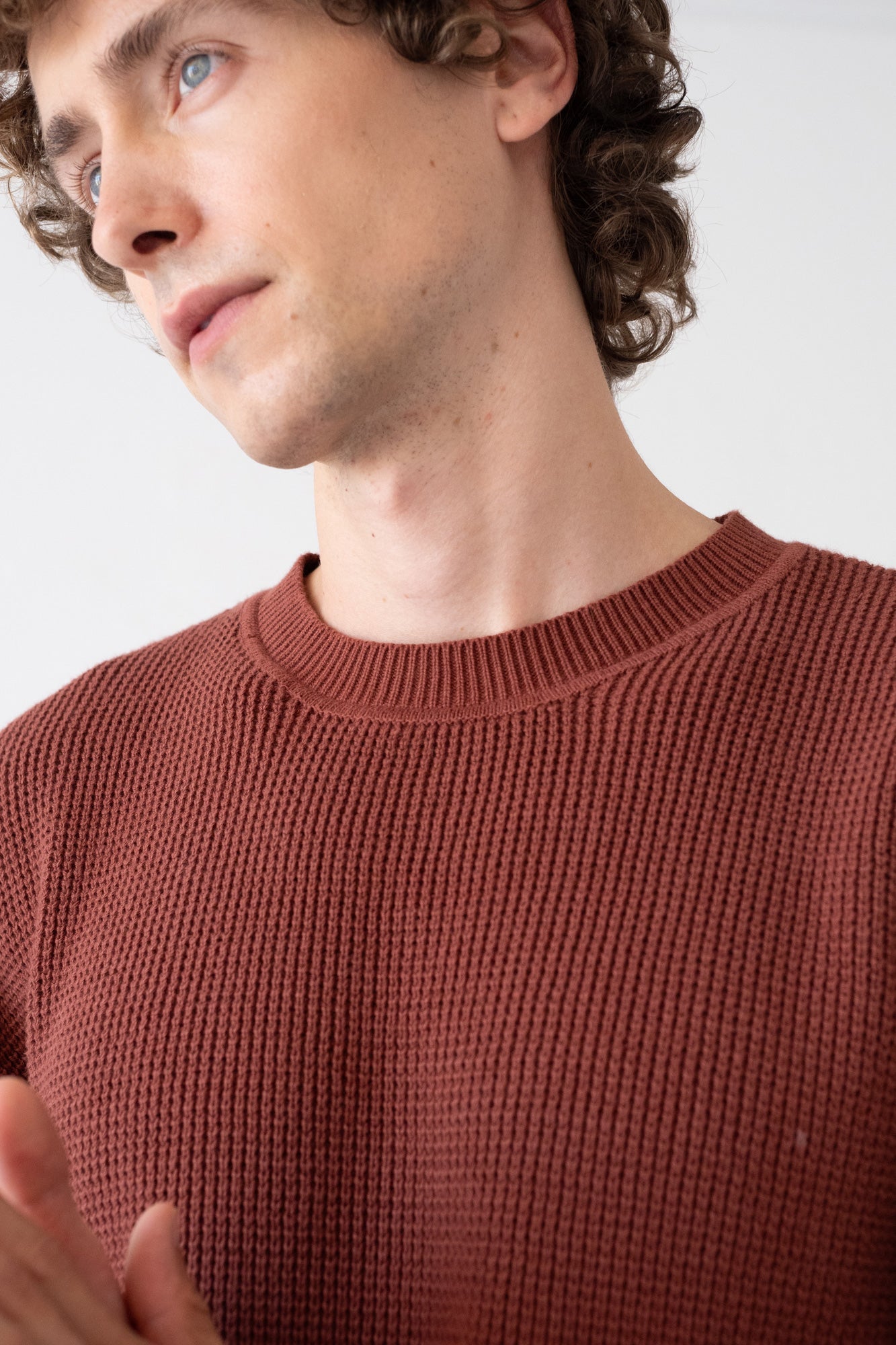 TIRALAHILACHA | Tam maroon currant sweater in organic cotton